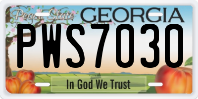GA license plate PWS7030