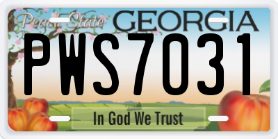 GA license plate PWS7031