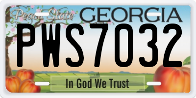 GA license plate PWS7032