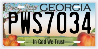 GA license plate PWS7034