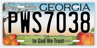 GA license plate PWS7038