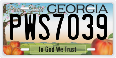 GA license plate PWS7039