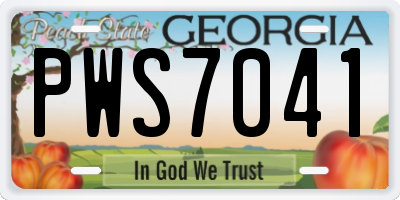 GA license plate PWS7041