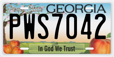 GA license plate PWS7042
