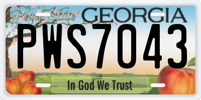 GA license plate PWS7043