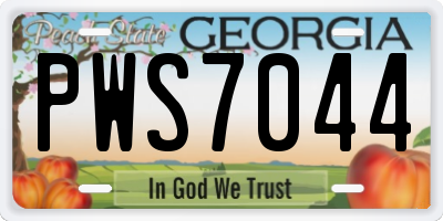 GA license plate PWS7044