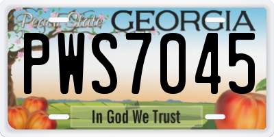 GA license plate PWS7045