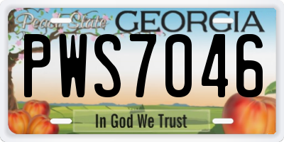 GA license plate PWS7046