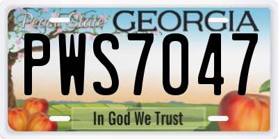GA license plate PWS7047