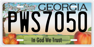 GA license plate PWS7050