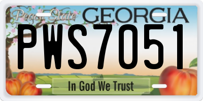 GA license plate PWS7051