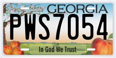 GA license plate PWS7054