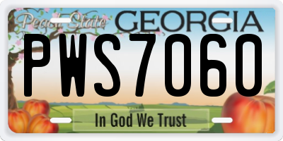 GA license plate PWS7060