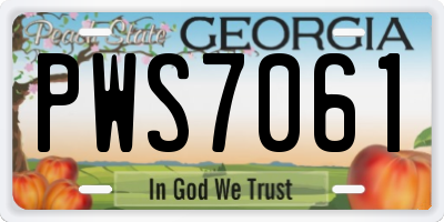 GA license plate PWS7061