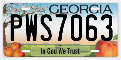 GA license plate PWS7063