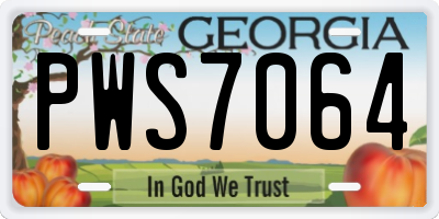 GA license plate PWS7064