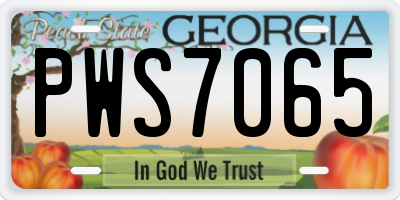 GA license plate PWS7065