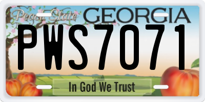 GA license plate PWS7071
