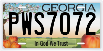 GA license plate PWS7072