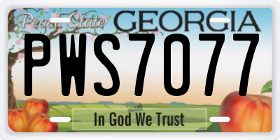GA license plate PWS7077