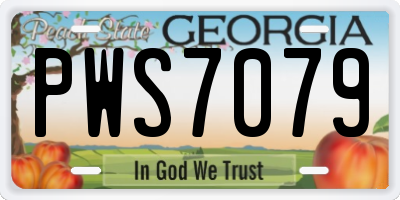 GA license plate PWS7079