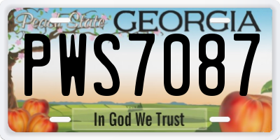 GA license plate PWS7087