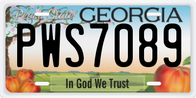 GA license plate PWS7089