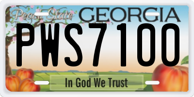GA license plate PWS7100