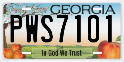 GA license plate PWS7101