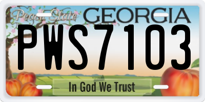 GA license plate PWS7103