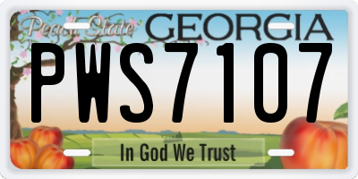 GA license plate PWS7107