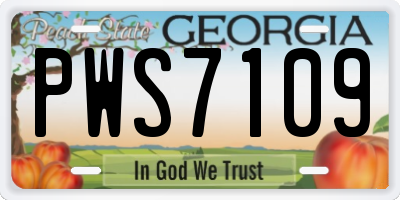 GA license plate PWS7109
