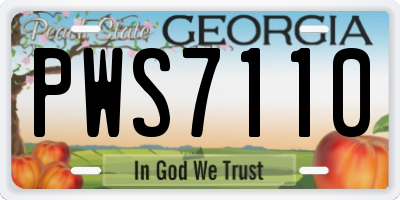GA license plate PWS7110