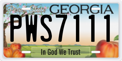 GA license plate PWS7111