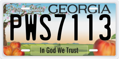 GA license plate PWS7113