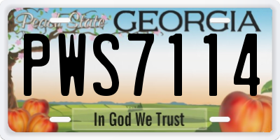 GA license plate PWS7114