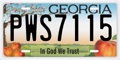 GA license plate PWS7115