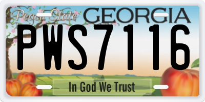 GA license plate PWS7116