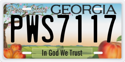 GA license plate PWS7117