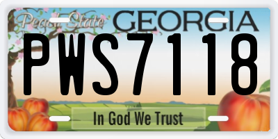 GA license plate PWS7118