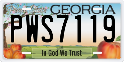 GA license plate PWS7119