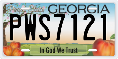 GA license plate PWS7121