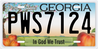 GA license plate PWS7124