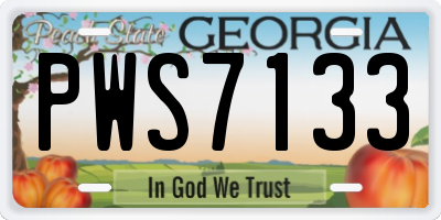 GA license plate PWS7133