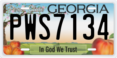 GA license plate PWS7134