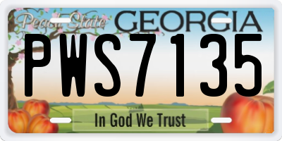 GA license plate PWS7135