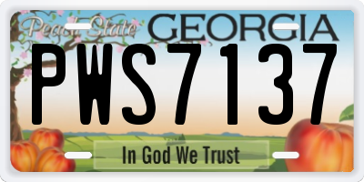 GA license plate PWS7137