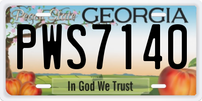 GA license plate PWS7140