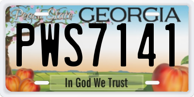 GA license plate PWS7141