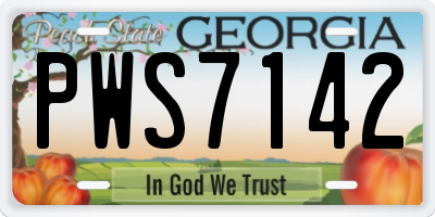 GA license plate PWS7142